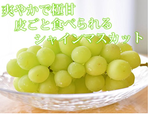 Amazon.co.jp: Shine Muscat Grapes, 2.2 - 3 Bunches, 2.2 - 3